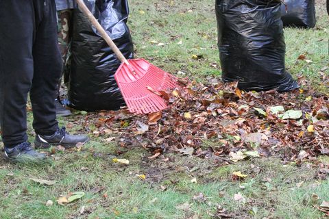 Yard cleanup and leaf removal at a coastal property in Lincoln County, Oregon
