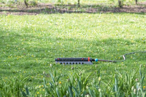 Automatic irrigation system watering a lush lawn in Lincoln County, Oregon