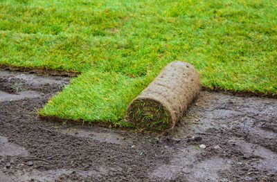 Fresh sod being installed for a new lawn in Lincoln County, Oregon