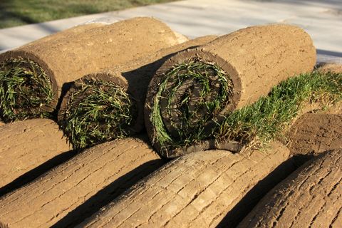 Rolls of fresh sod ready for a new lawn installation in Newport, Oregon