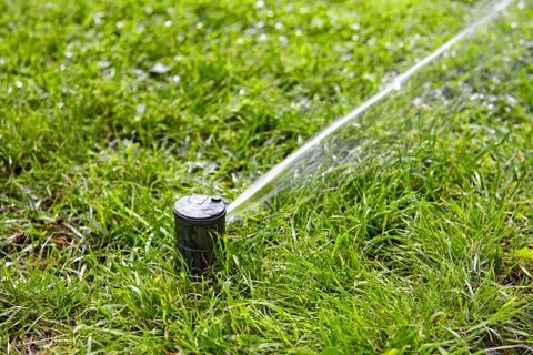 Lawn sprinkler system watering a healthy green lawn in Newport, Oregon