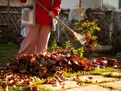Landscaper grading and preparing soil in a yard in Newport, Oregon